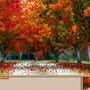 Jigsaw Puzzle Pack: Pixel Puzzles Ultimate - New England Fall