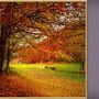 Jigsaw Puzzle Pack: Pixel Puzzles Ultimate - New England Fall