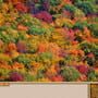 Jigsaw Puzzle Pack: Pixel Puzzles Ultimate - New England Fall