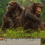Jigsaw Puzzle Pack: Pixel Puzzles Ultimate - Primates