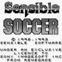 Sensible Soccer: European Champions