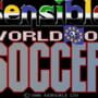 Sensible World of Soccer: European Championship Edition