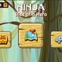 Ninja: Rise of a Hero