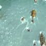 Aqua screenshot 15