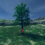 Tree Simulator 2023