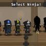 Ninjas: Stolen Scrolls