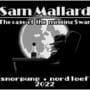 Sam Mallard: The Case of the Missing Swan