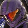 Halo: The Master Chief Collection Season 6 - Raven