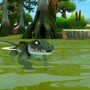 Angry Alligator