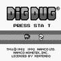 Dig Dug