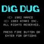 Dig Dug