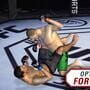 EA Sports UFC Mobile