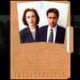 The X-Files: Unrestricted Access