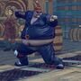 Ultra Street Fighter IV: Complete Brawler Pack 2011