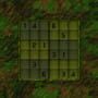 Sudoku Puzzle