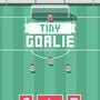 Tiny Goalie