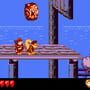 Donkey Kong Land 2: Game Boy Color Edition