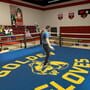 Golden Gloves VR