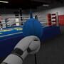 Golden Gloves VR