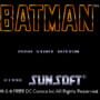 Batman: The Video Game