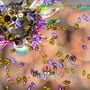 Snops Attack! Zombie Defense screenshot 6