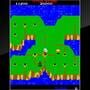 Arcade Archives: Dig Dug II