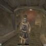The Elder Scrolls III: Morrowind - Entertainers