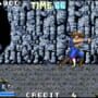 Double Dragon Advance