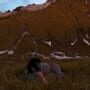 Horse Life: Find Horses in Open World, Survive in Wild Nature as a Foal or Pony