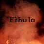 Fibula