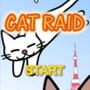 Cat Raid