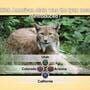 Nat Geo Challenge! Wild Life