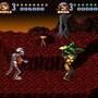 Battletoads In Battlemaniacs