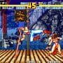 Fatal Fury Special